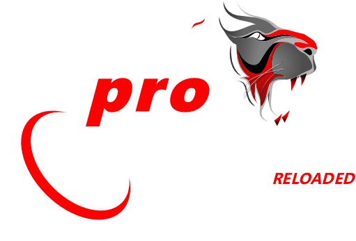 Rai Pro Graphics